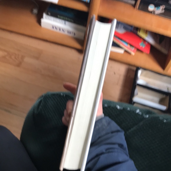 “The marriage of opposites“ A novel by Alice Hoffman - Picture 15 of 16